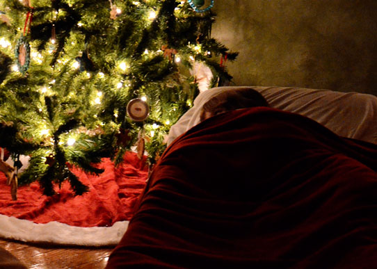 girl sleeping beside Christmas tree