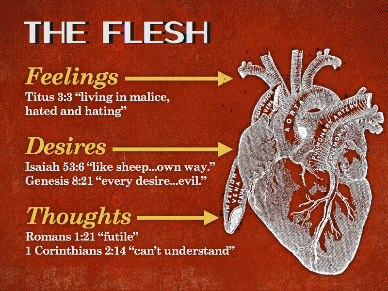 World Flesh Devil Feelings Desires Thoughts