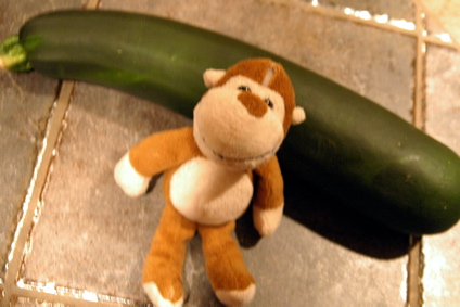 Zuchini beside a stuffed monkey