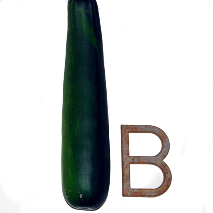 Zucchini with letter b